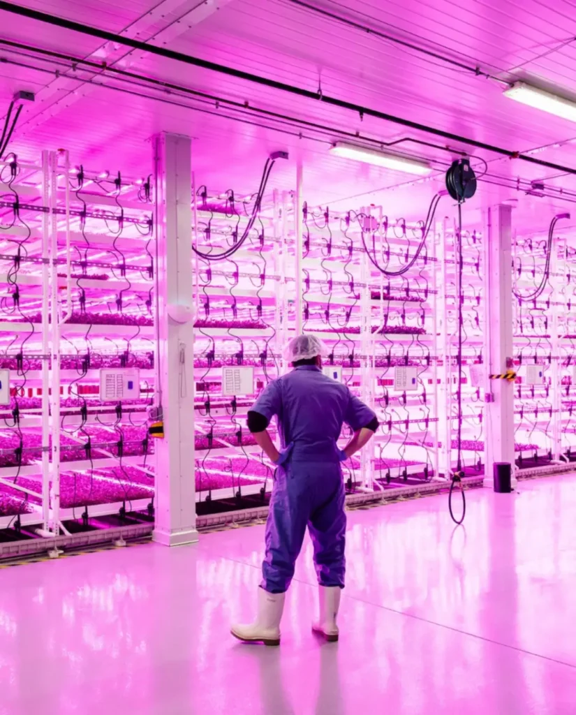 Inside the planted detroit production facility
